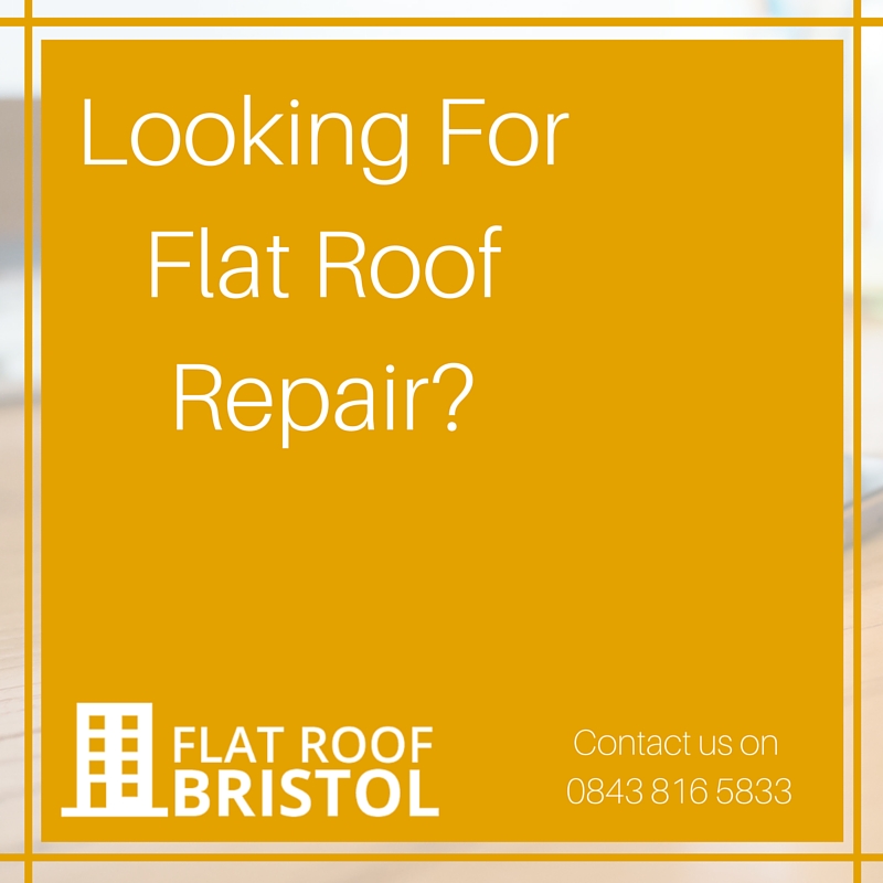 Flat Roof Repair Company